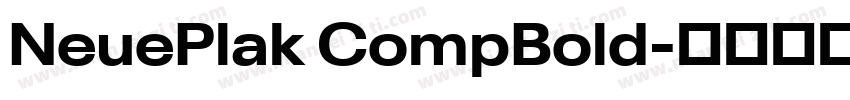 NeuePlak CompBold字体转换